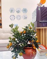 Basic Guest House