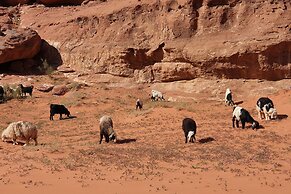 Welcome to Wadi Rum