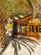 El Tesoro de Elqui