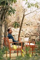El Tesoro de Elqui