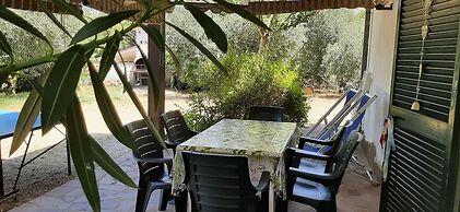 Relax - Olive And Sea Sperlonga