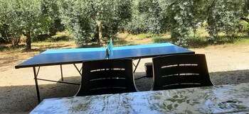 Relax - Olive And Sea Sperlonga
