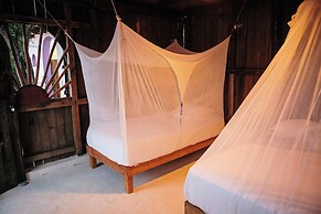 SHAMBHALA VISION