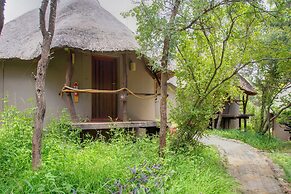 Warthogs Bush Lodge