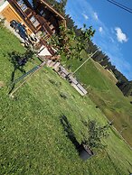Apartment Chalet Grittelihus, Between Interlaken - Gstaad