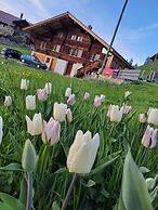 Apartment Chalet Grittelihus, Between Interlaken - Gstaad