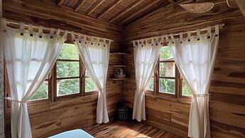 Roots Tree House