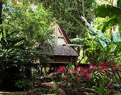 Roots Tree House