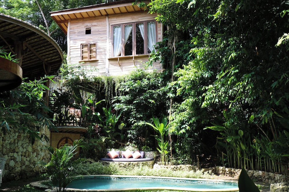 Roots Tree House