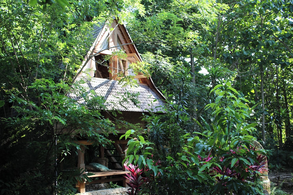 Roots Tree House