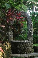 Roots Tree House