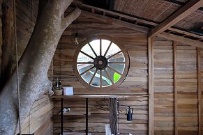 Roots Tree House