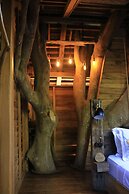 Roots Tree House