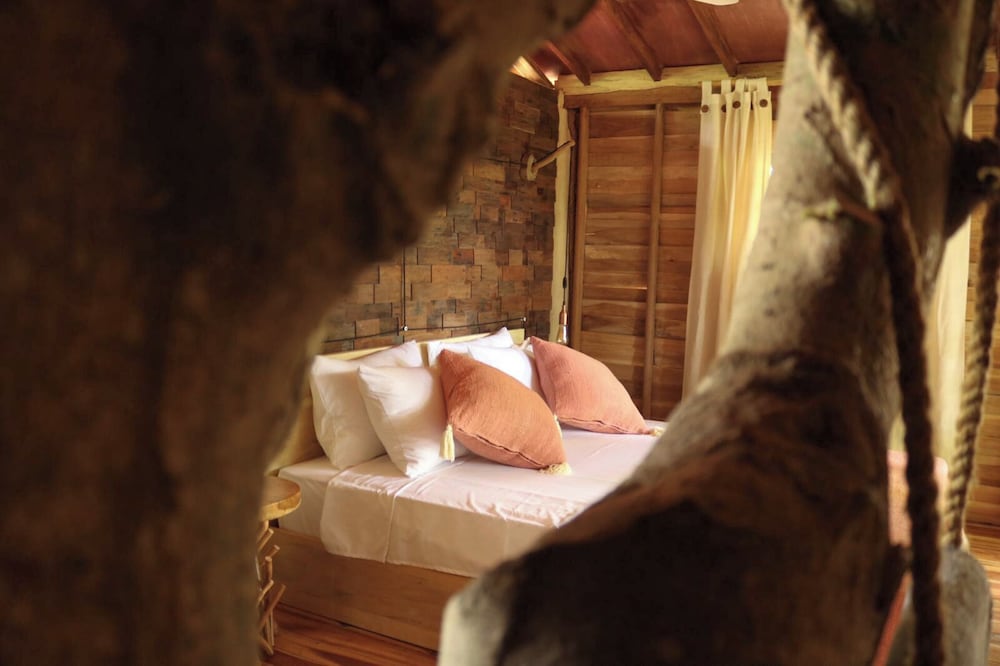 Roots Tree House