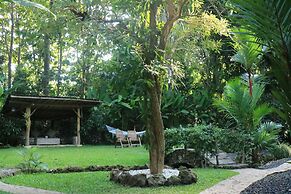 Roots Tree House