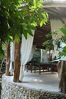 Roots Tree House