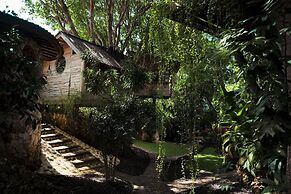 Roots Tree House