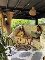 Roots Tree House