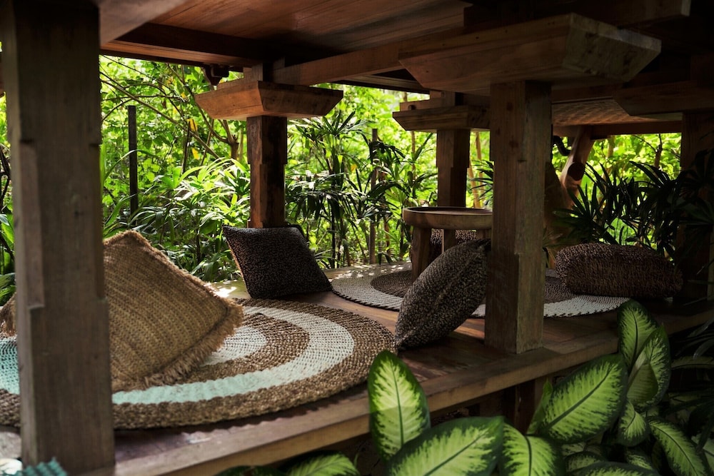Roots Tree House
