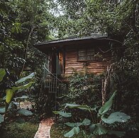 Roots Tree House