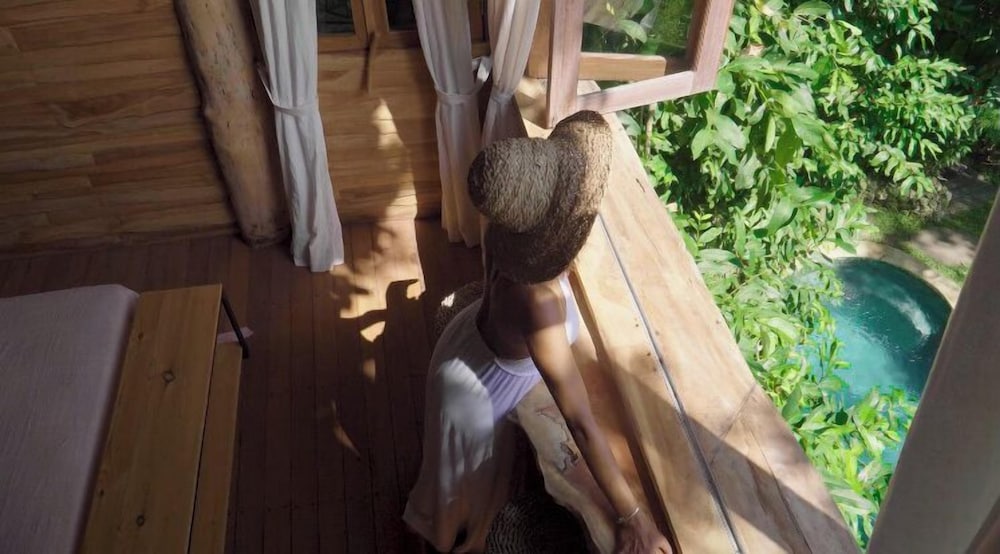 Roots Tree House