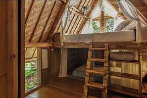 Roots Tree House