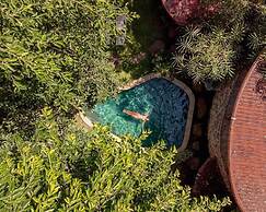 Roots Tree House