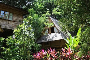 Roots Tree House