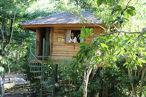 Roots Tree House