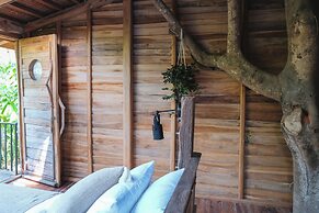 Roots Tree House