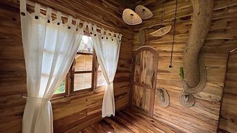Roots Tree House