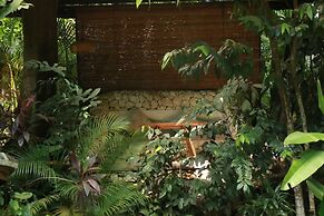 Roots Tree House