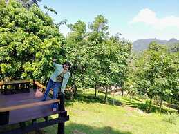 Jungle guest house