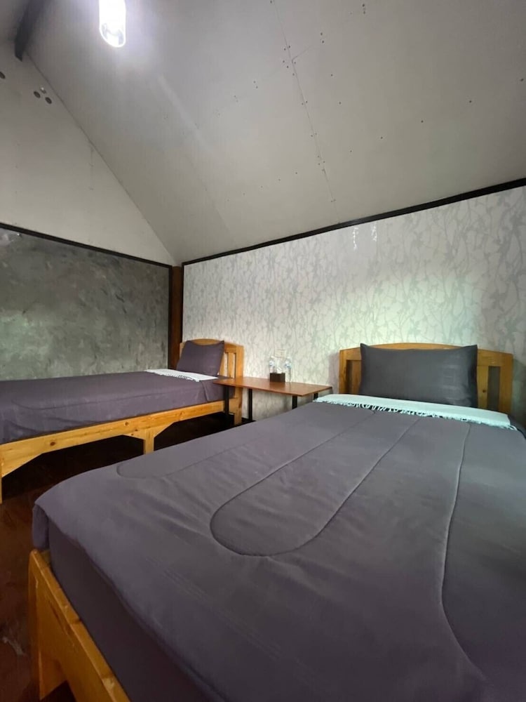 Jungle guest house