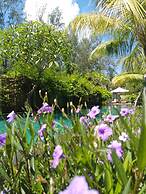 Villa Penyu