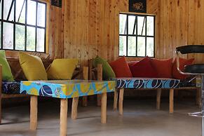 Tranquil homestays