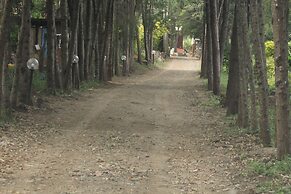 Tranquil homestays