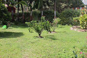 Tranquil homestays