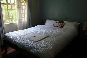 Tranquil homestays