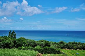Grand blue 303