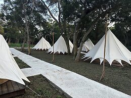 Touching camping