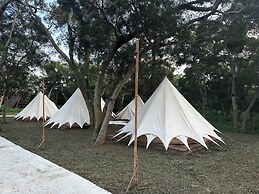 Touching camping