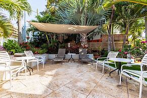 Beautiful Comfy Mins to Palm Eagle Beaches