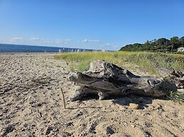 Vine & Sand