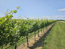 Vine & Sand