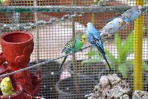 Gir Pride Resort