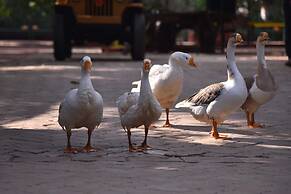 Gir Pride Resort