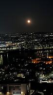 The Panoramic Urban Oasis