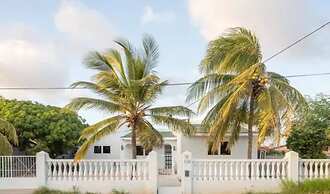 NEW Palm Beach 100h