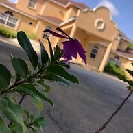 Pondbottom Apartment Hotel